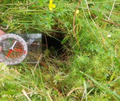 Habitat survey