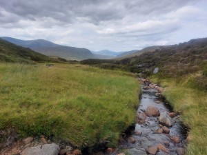 Habitat survey