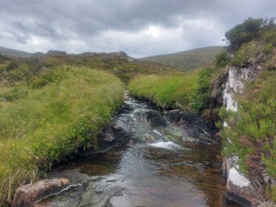 Habitat survey