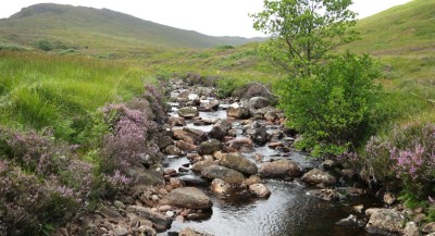 A river
